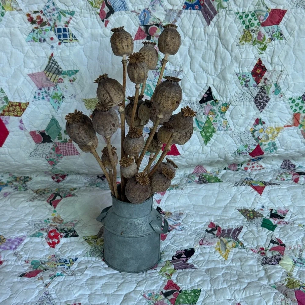 Rustic Dried Poppy Pod Arrangement in Galvanized Metal Milk Jug Farmhouse Decor